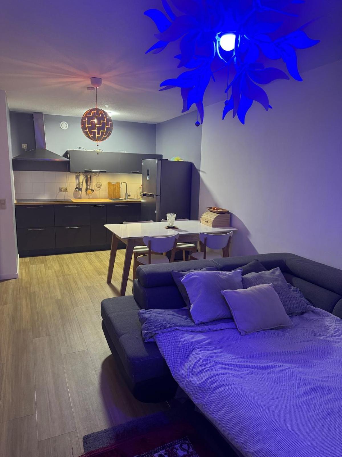 Apartment Luxurious In Auderghem *