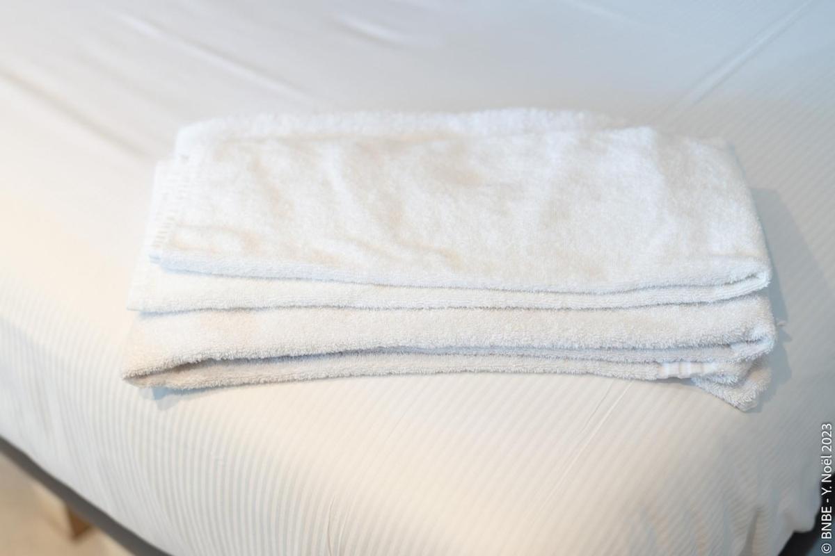 Apartment Ecstatic Living Ixelles, Luxury In The European Quarter Brussels