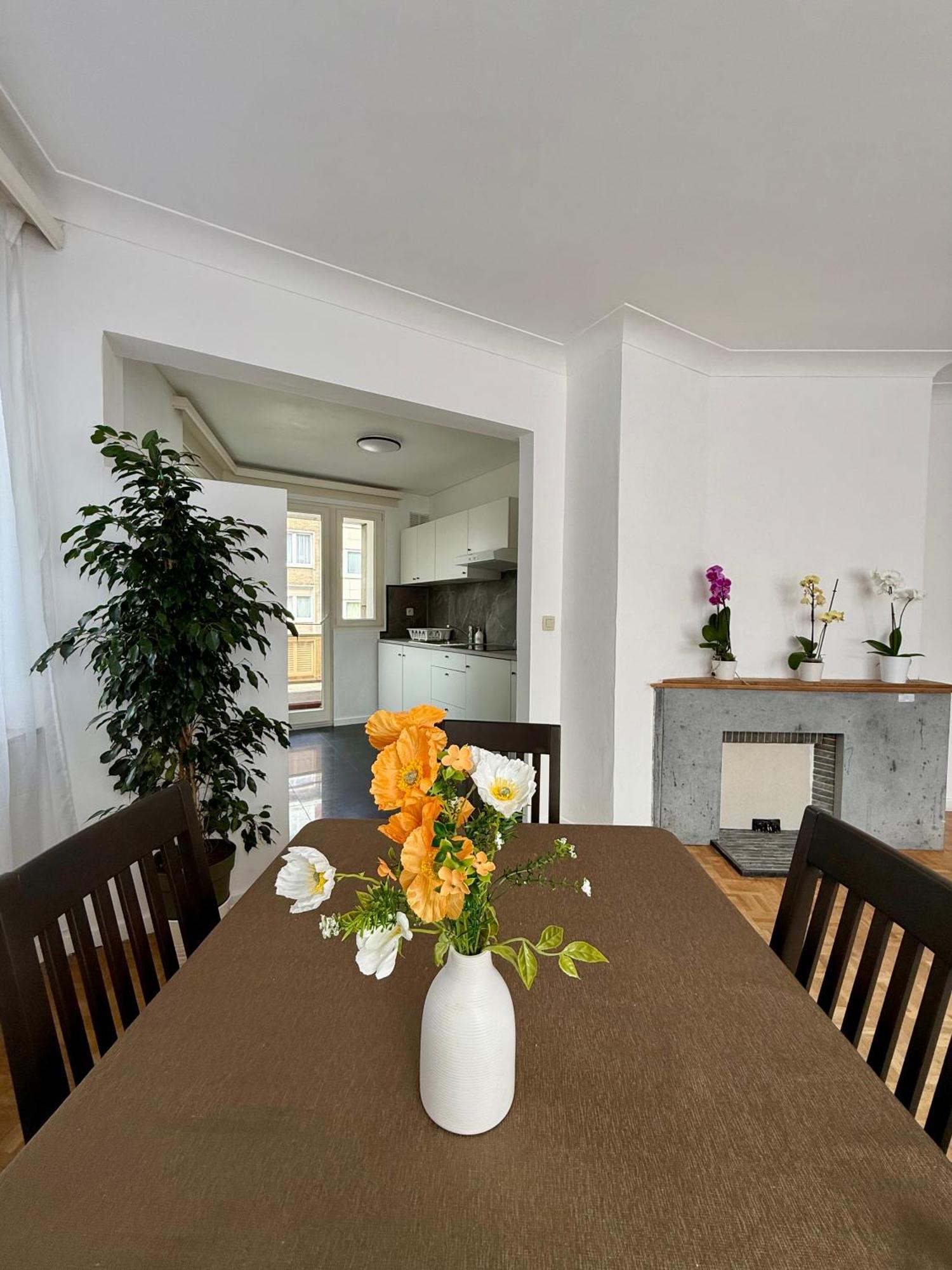 Apartment Atomium Canopy *