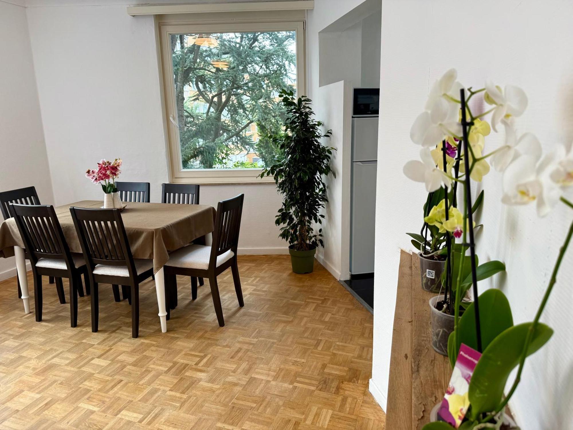 Atomium Canopy * Brussels