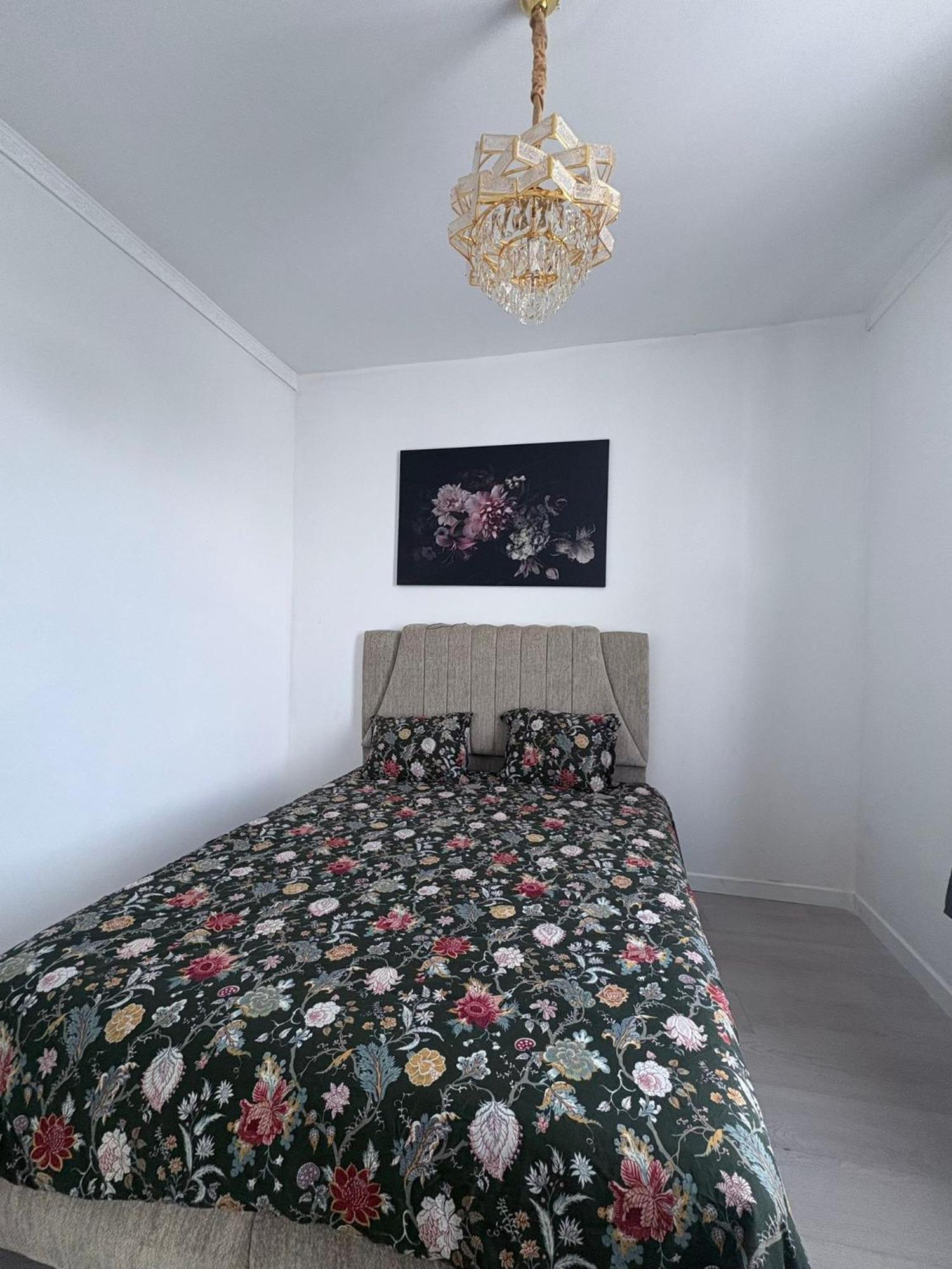 Apartment Garden's Jacuzzi 1