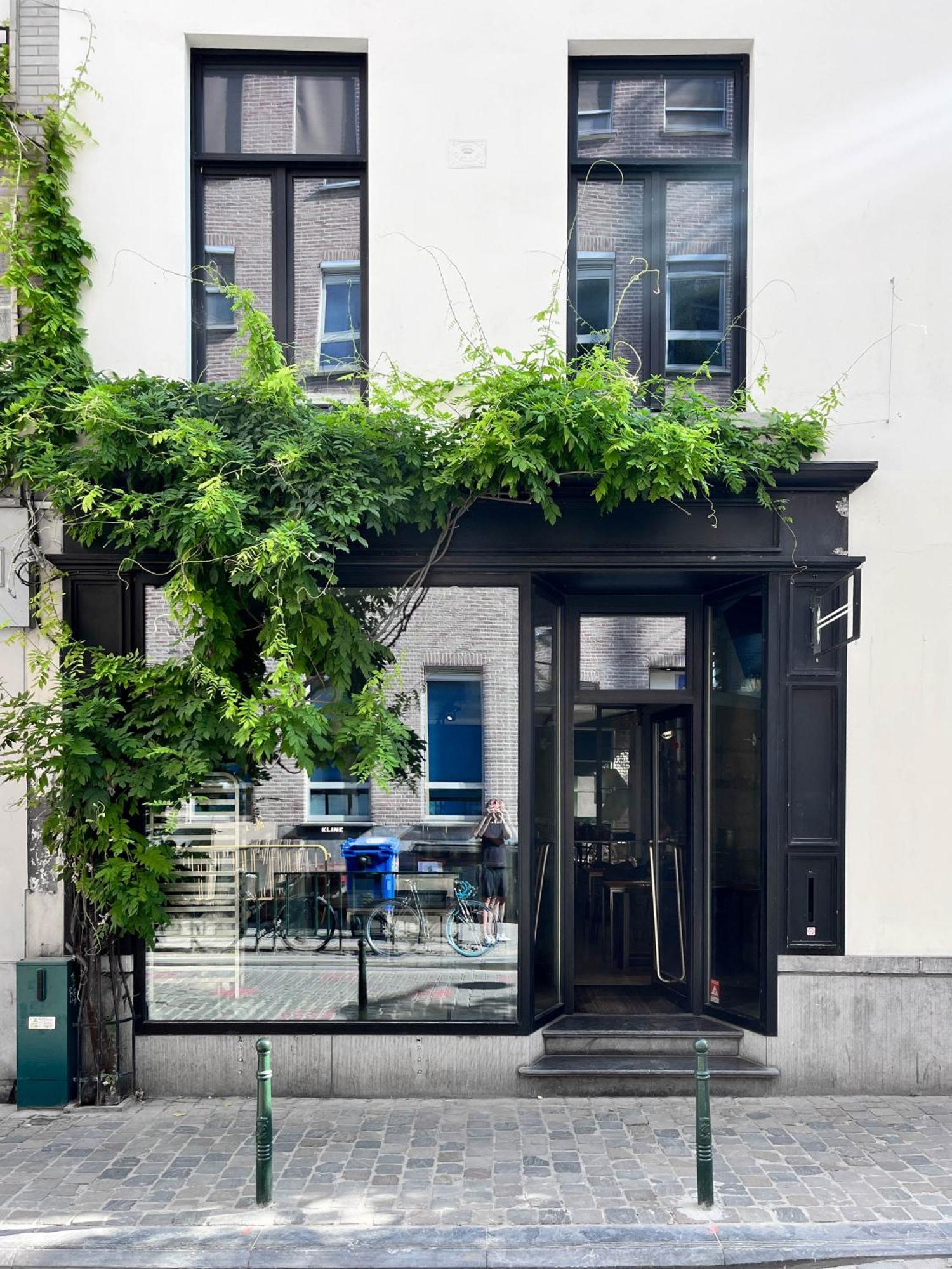 Teddy Picker Homestay Brussels