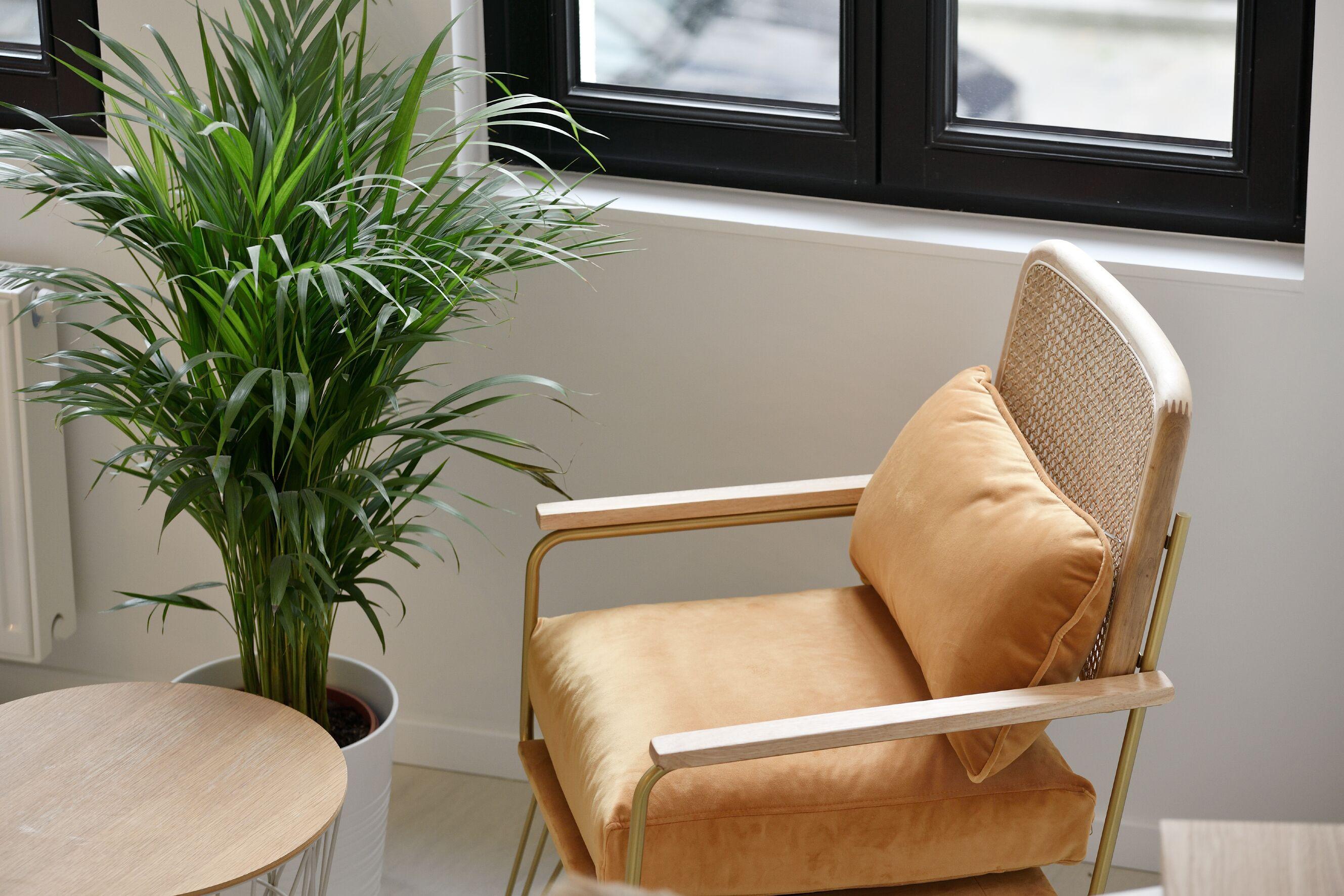 Urban Walls Bed & Breakfast Brussels