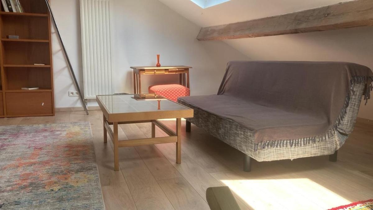 Big Cosy Family Duplex Near Grande Place Apartment *