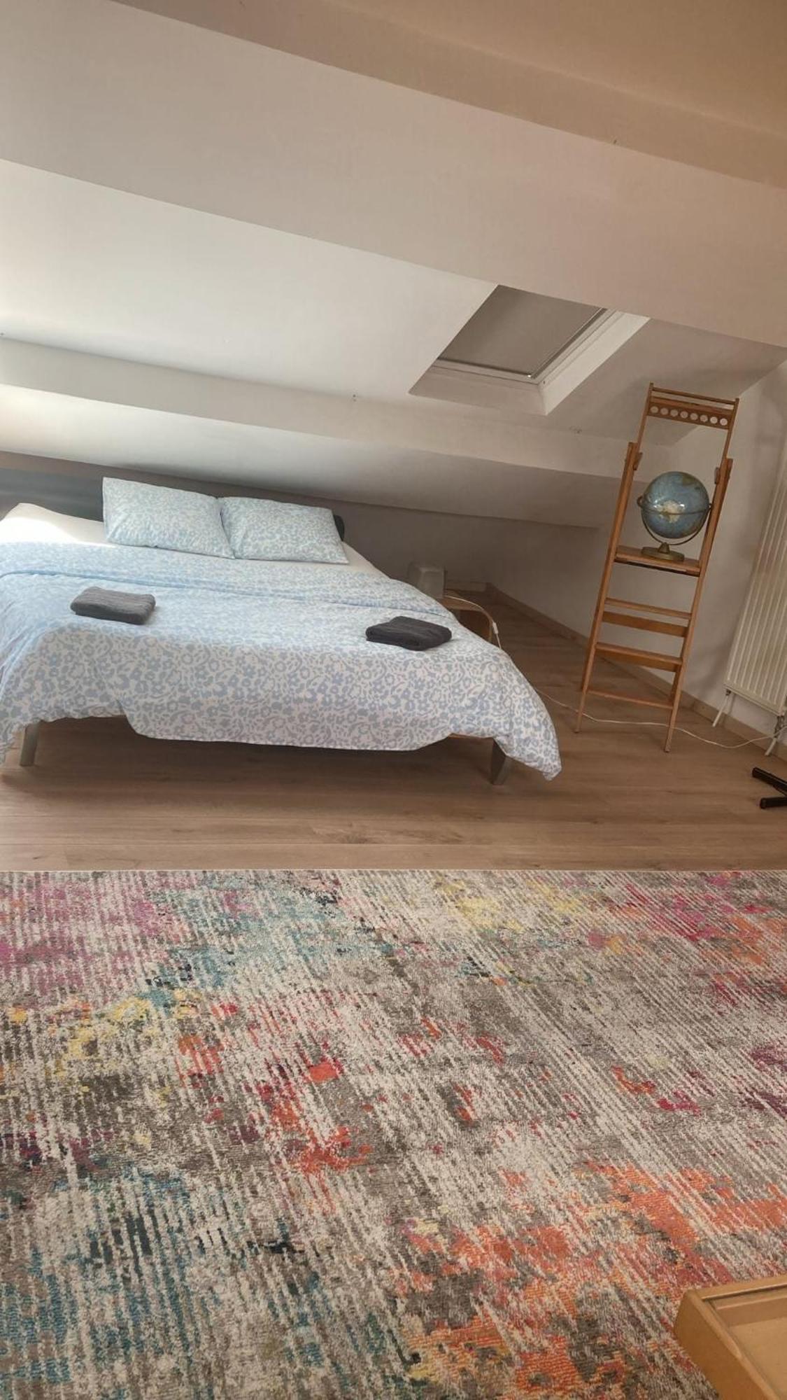 Big Cosy Family Duplex Near Grande Place Apartment Brussels