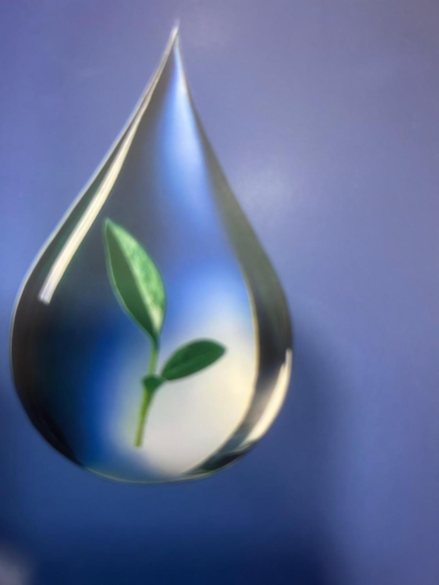 Apartment Confortable Situe A Woluwe Saint Lambert *