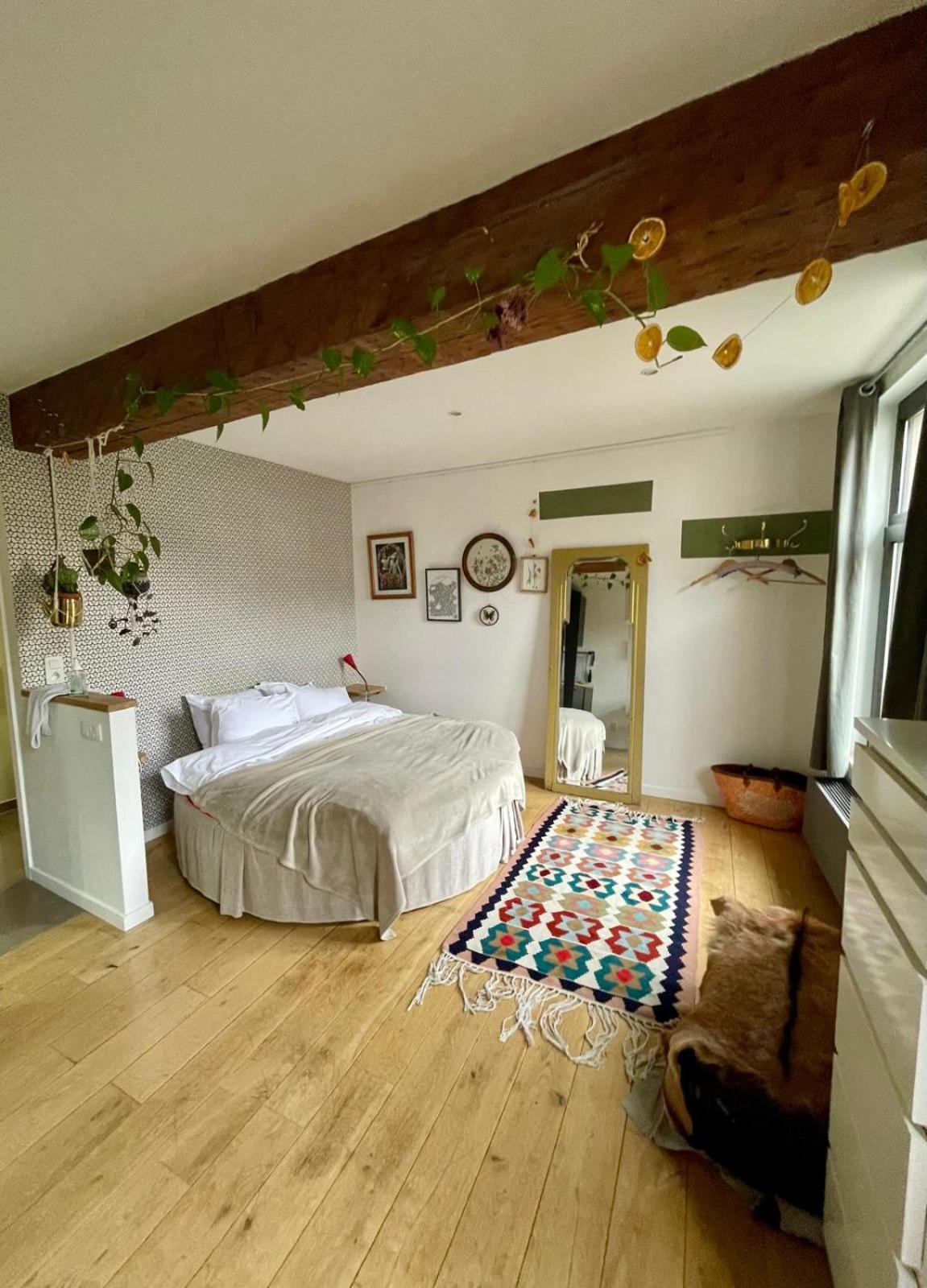 Cozy Studio-city Center Brussels