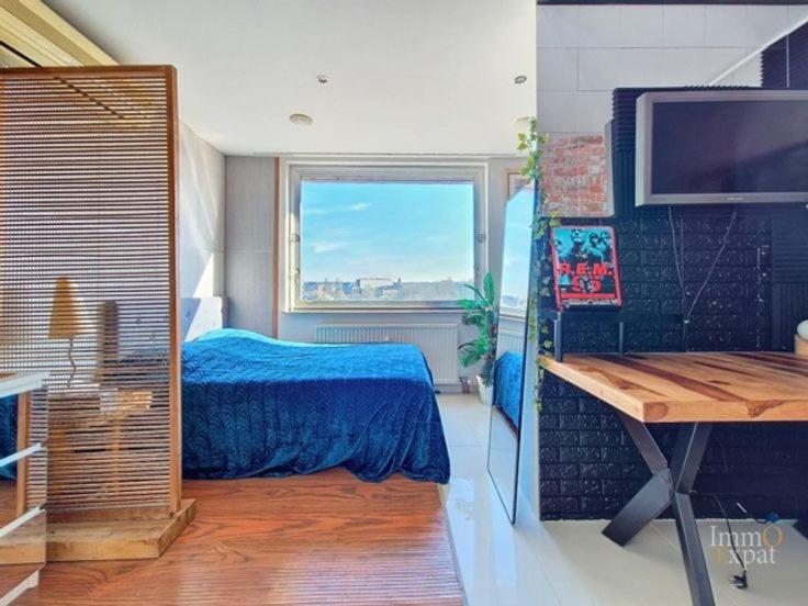 Vaste Et Somptueux A Brussels