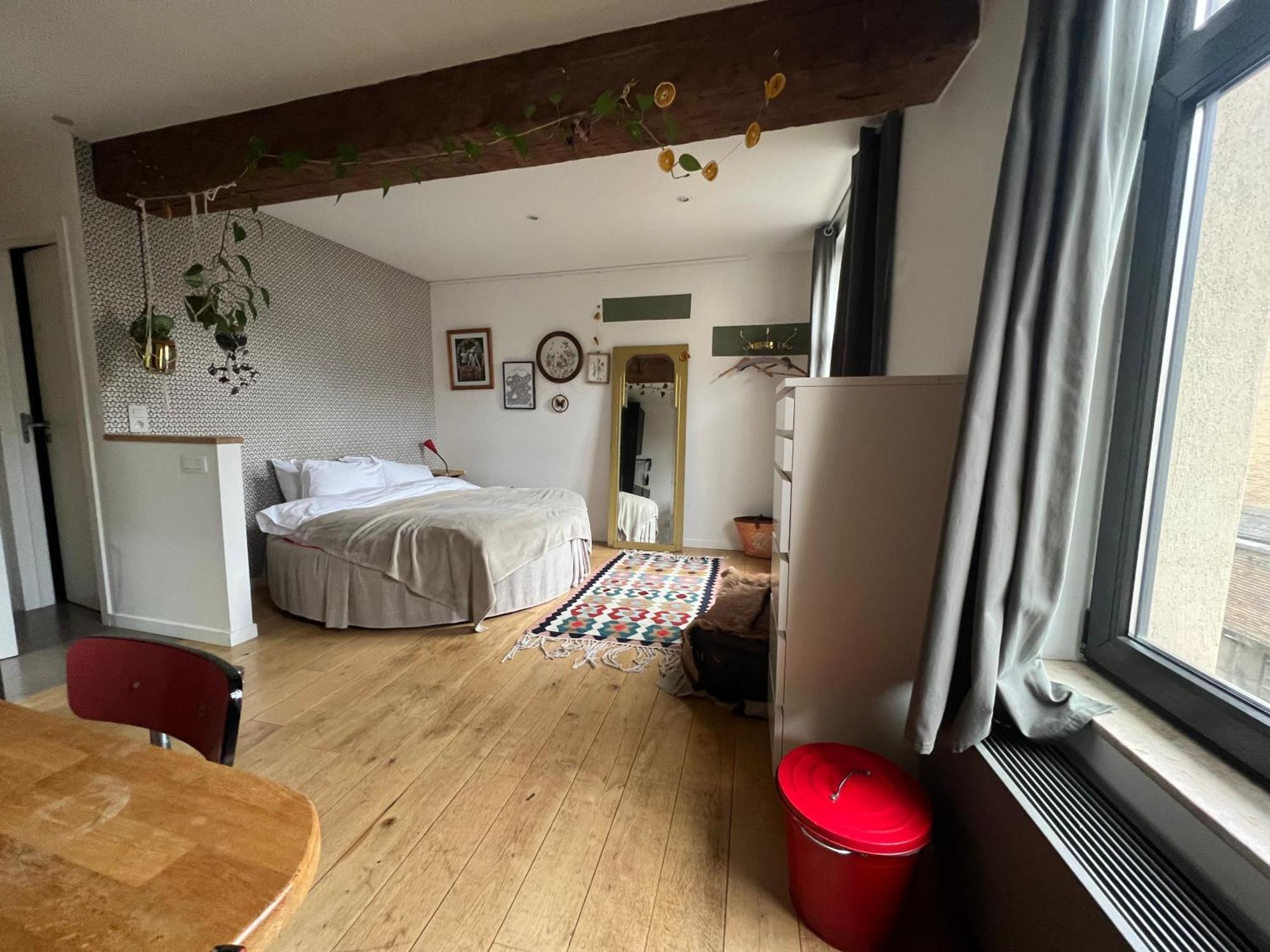 Cozy Studio-city Center Apartment