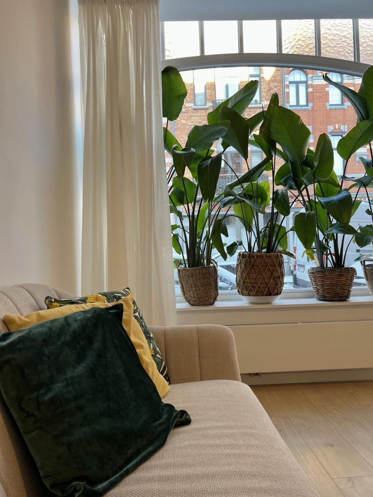 Modern & Elegant Near Montgomery * Brussels