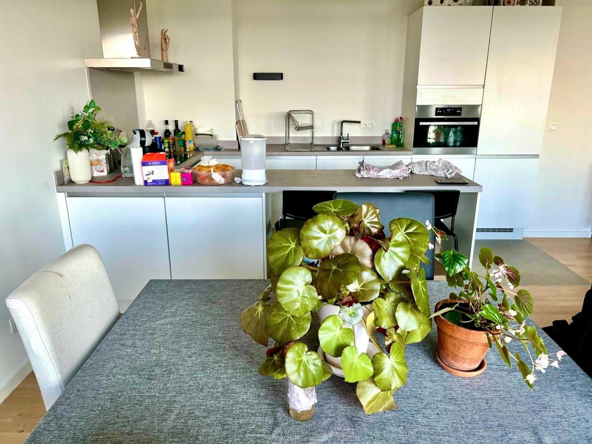 Apartment Elegant Near Atomium Ideal For Families Brussels