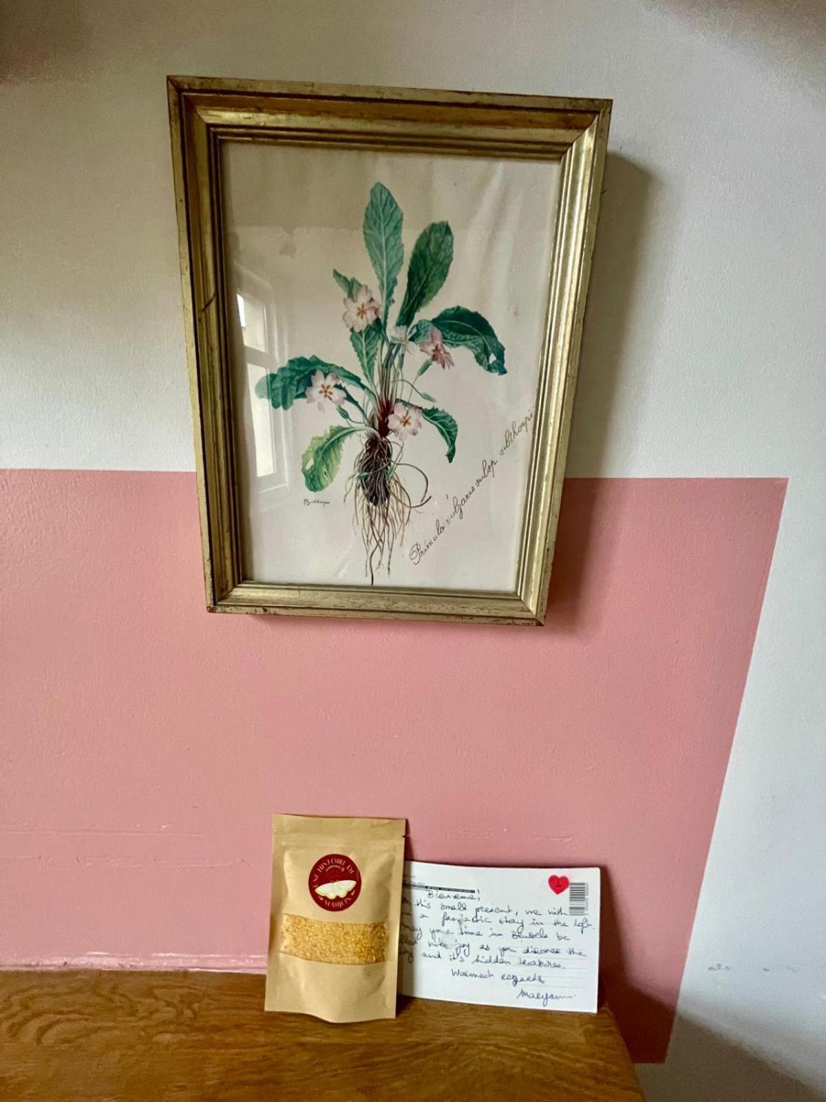 Apartment Cozy Studio-city Center *