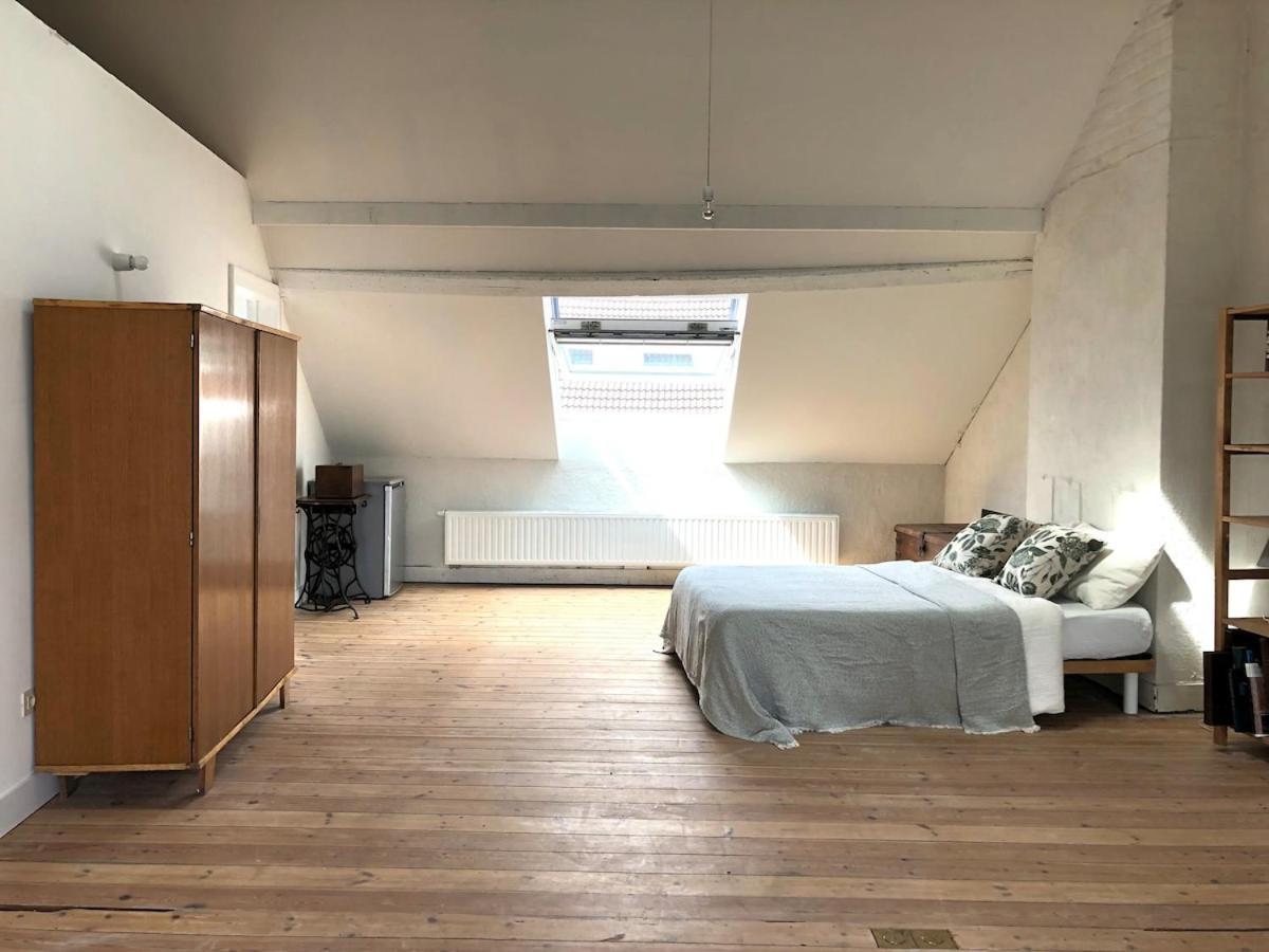 Penthouse In A Family House Apartment Brussels