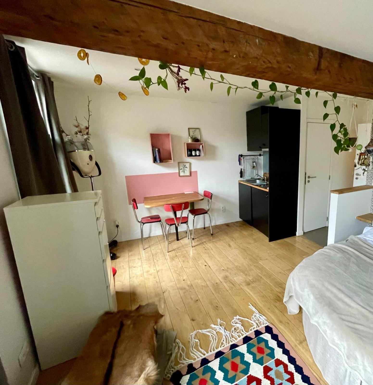 Cozy Studio-city Center Apartment *