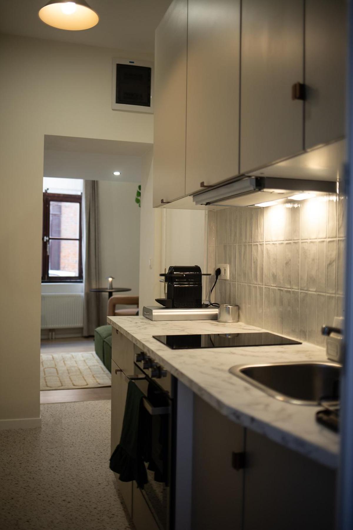Apartment Avec Mezzanine Et Terasse *