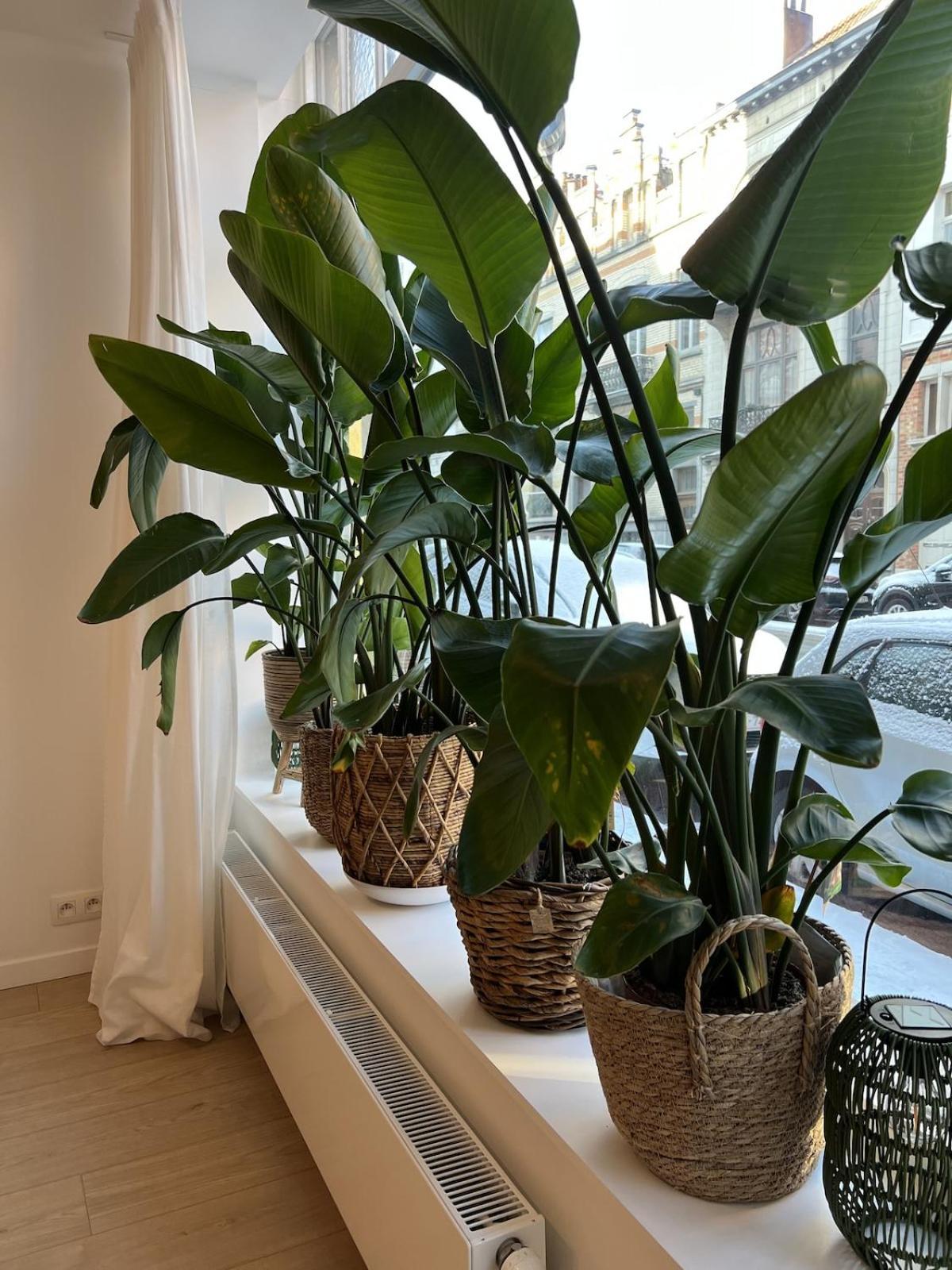 Modern & Elegant Near Montgomery Apartment *