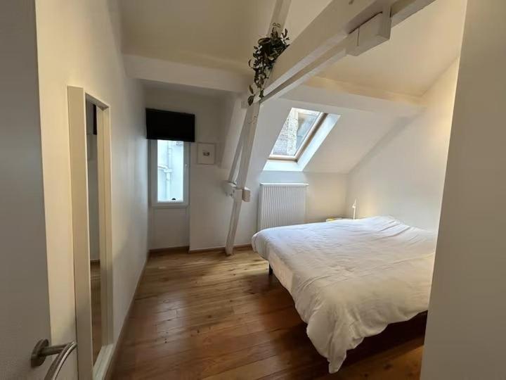 Duplex Loft Apartment Brussels