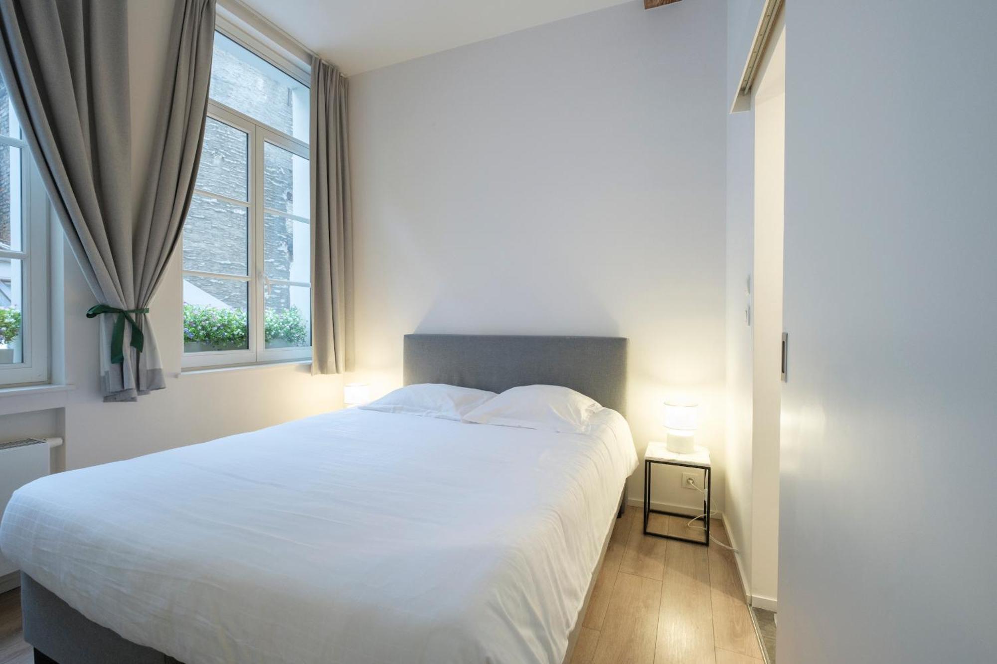 Apartment Cosy 1 Bedroom Close To Grand Place Brussels