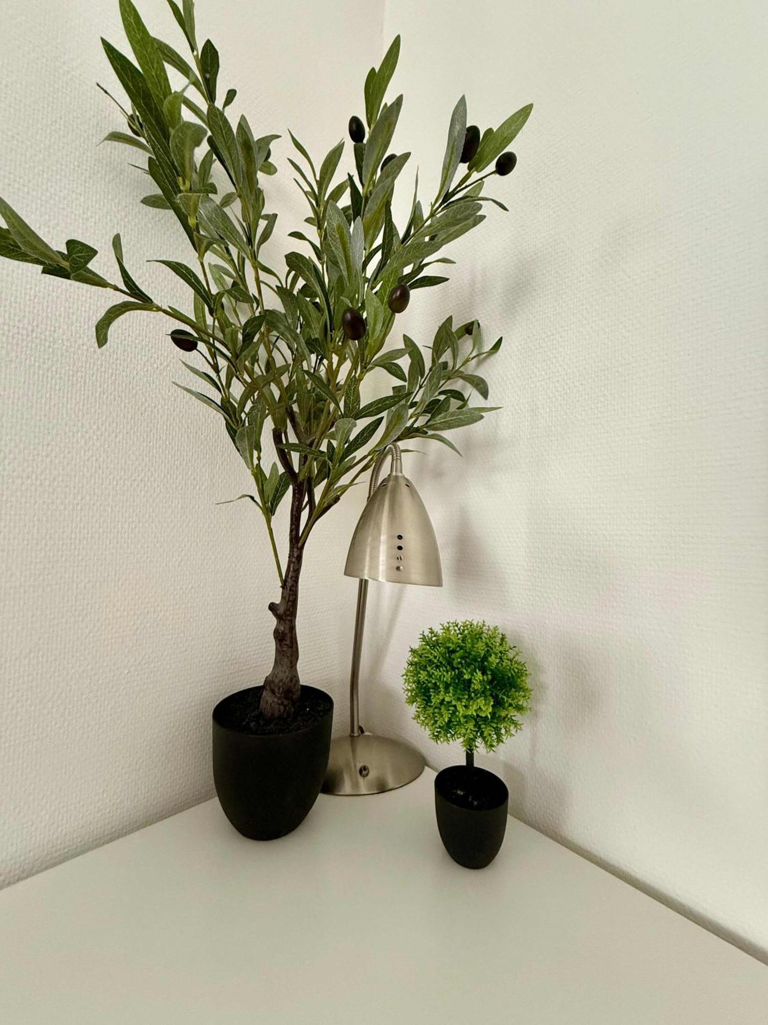 Elegant Close To The European Parliament Apartment Brussels