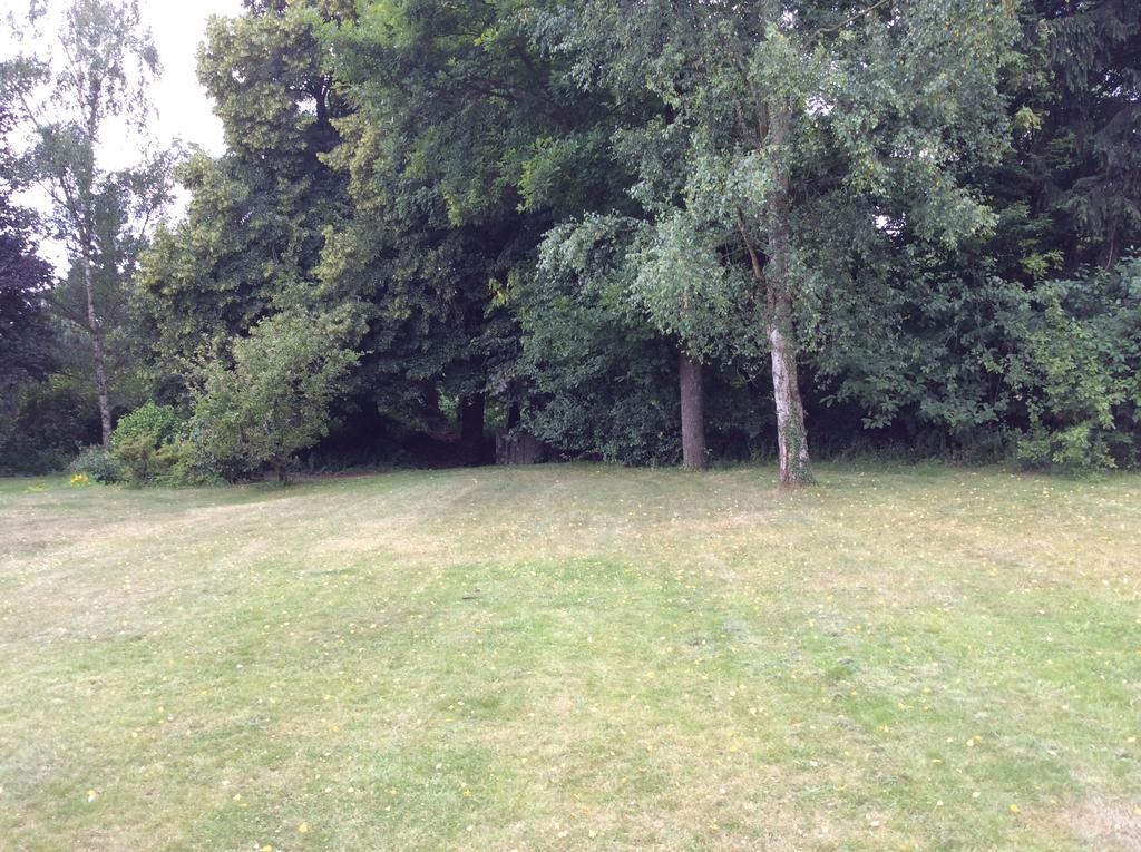 Bed & Breakfast B&B Uccle *