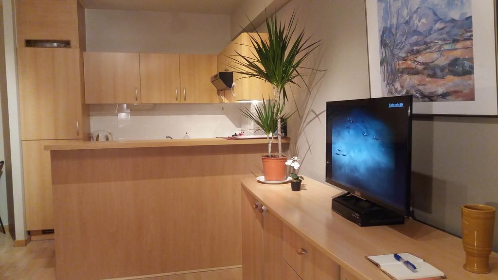 Apartment Eu District *