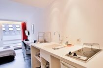 Chic Suisse Flat - Metro Louise Apartment