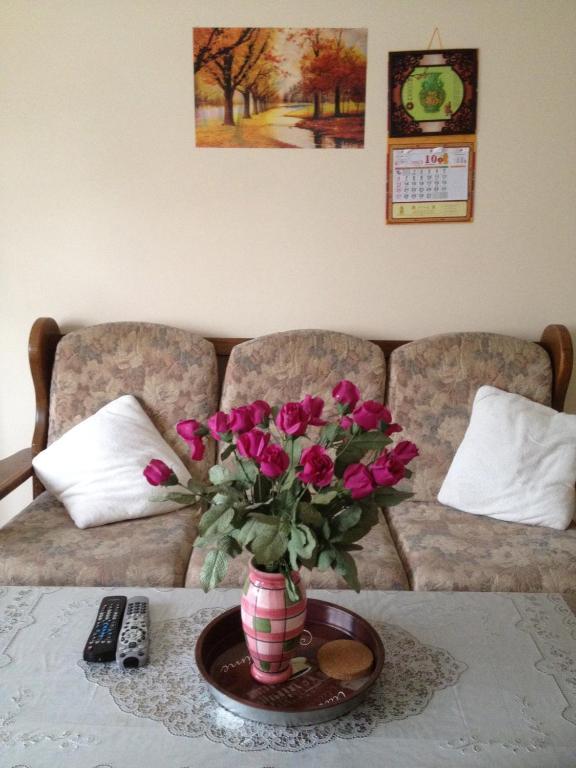 Appartements Brussel