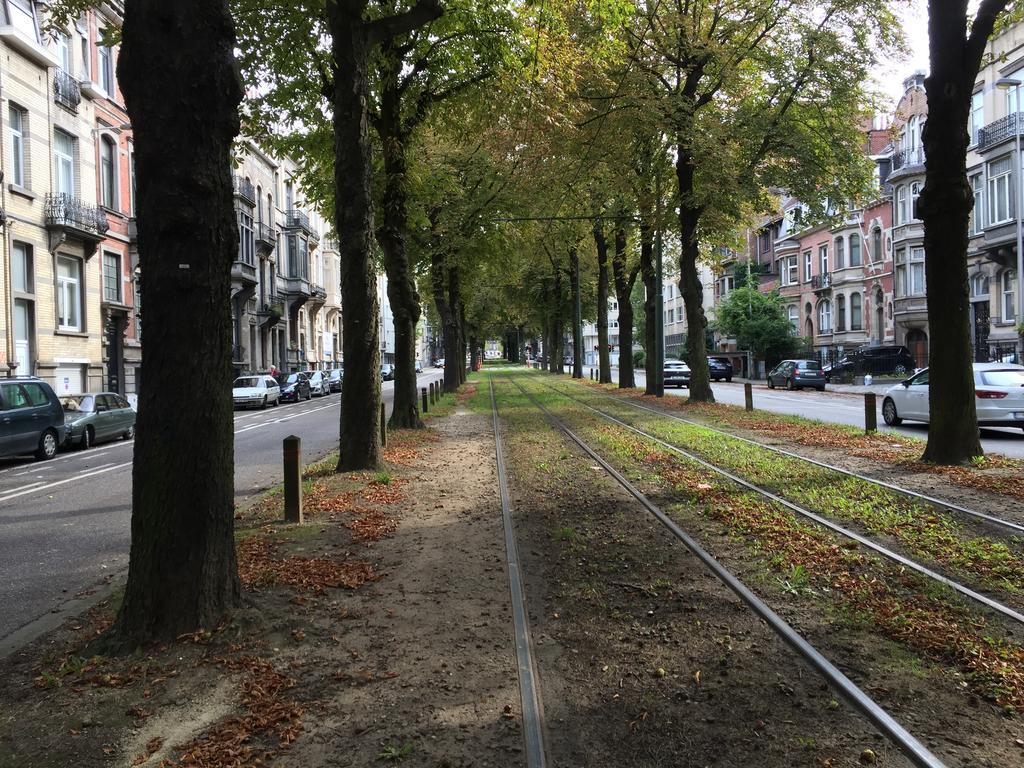 Moliere Brussel