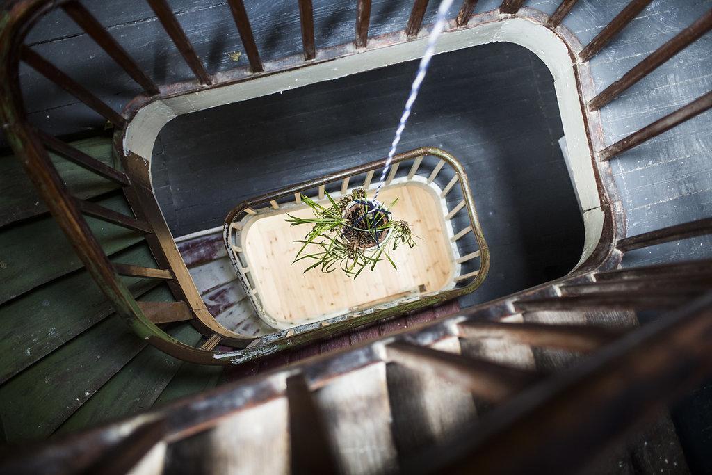 Guest house Les Chambres Du Petit Lion *