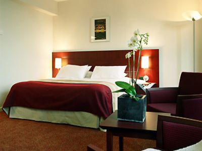 Mercure Brussels Airport 3*