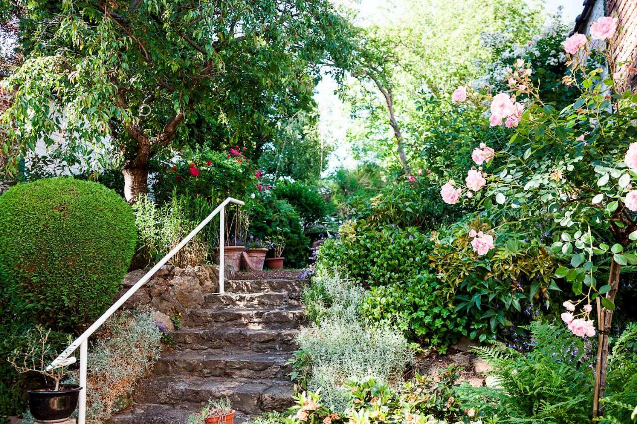 With Beautiful Garden