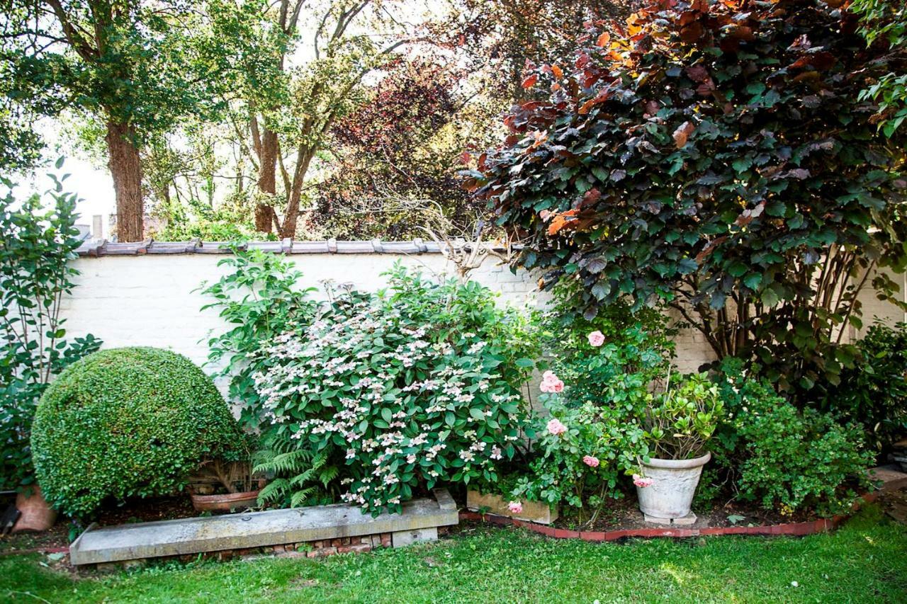 With Beautiful Garden Brussels