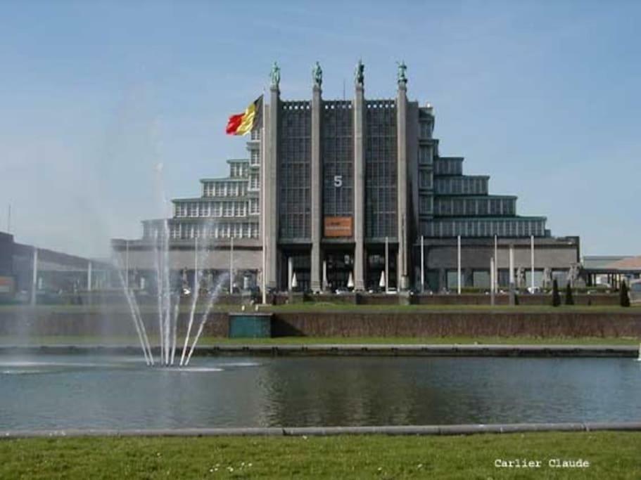 Fantastic Large House *