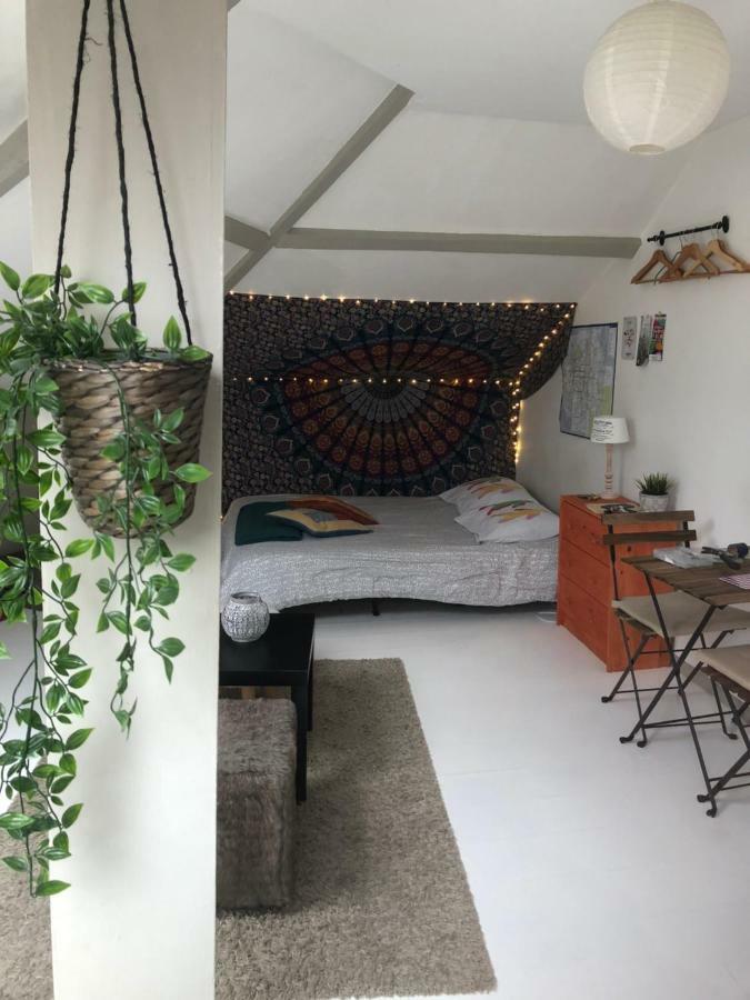 Apartment Cosy Barriere/parvis St Gilles *