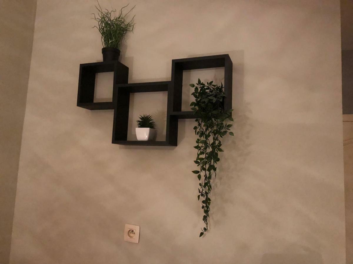 Cosy Barriere/parvis St Gilles * Brussels