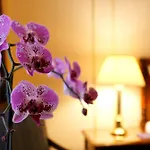 Hotel Le Plaza Brussel