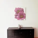 Appartement Cozy 2 Bedroom - Metro Montgomery Brussel