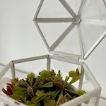 Appartement Lumineux Dans Un Quartier Anime