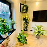 Town House With Garden - 1 Room With Shared Bathroom