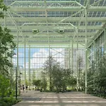 The Standard, Brussels