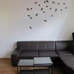 Apartment Tour & Taxis 3