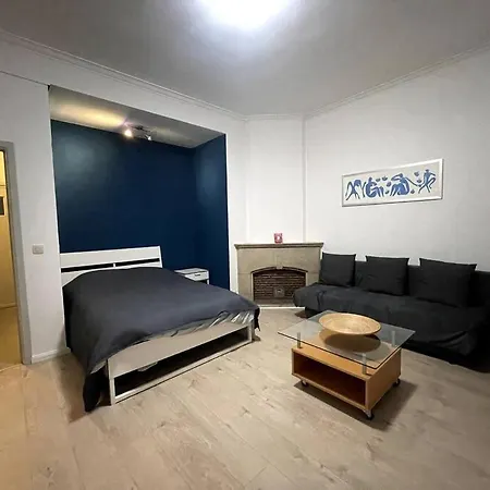 Apartment Cosy Dans Le Centre Brussels