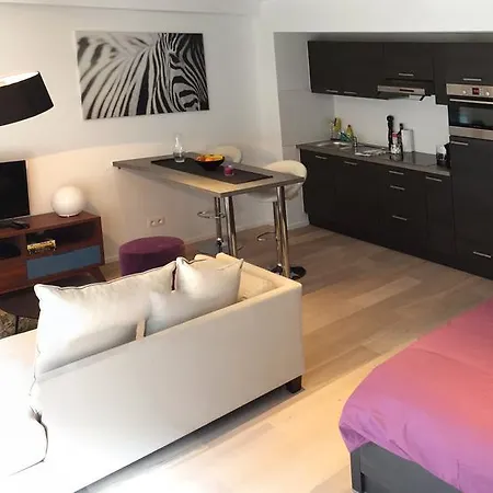 Apartment Flat Moliere *