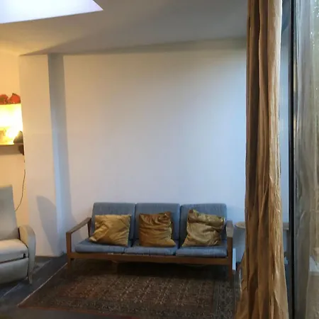 Charming Ocre House In Forest Brussels
