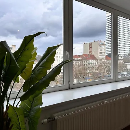 Toison D'or * Brussels