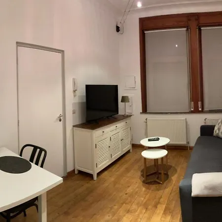 Cosy Au Coeur D'ixelles Apartment *