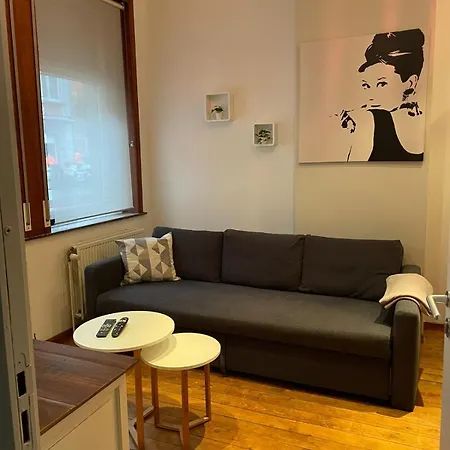 Apartment Cosy Au Coeur D'ixelles *