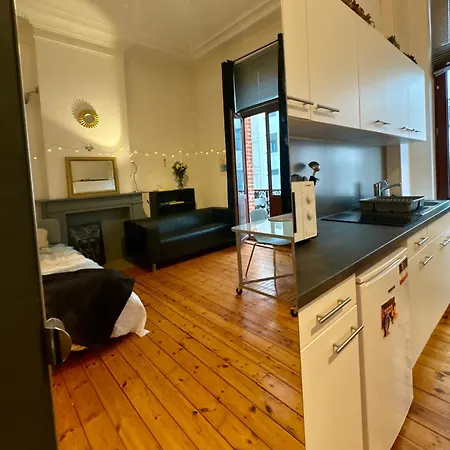 Chaleureux Studio - Louise Apartment Brussels