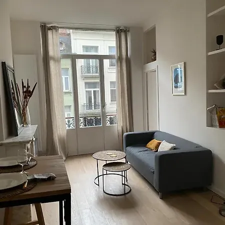 Beautiful And Warm Flat In Heart Of Brussels