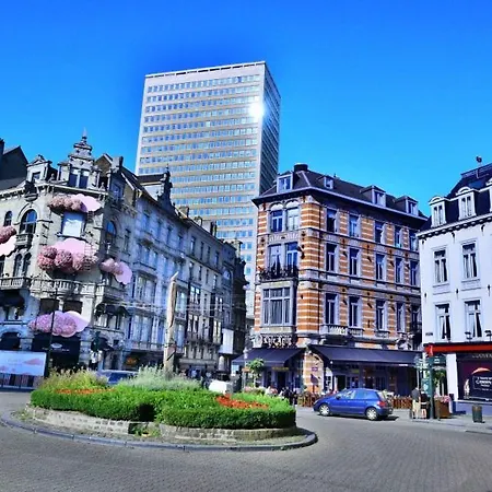 Magnificent In Sablon
